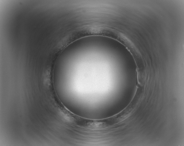 X0000069800497200605191108