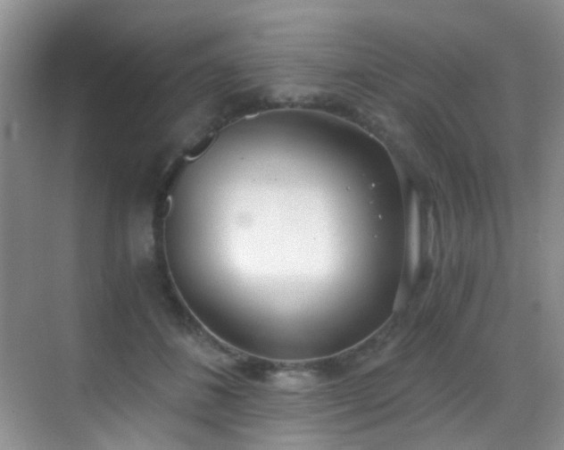 X0000069800508200605191108
