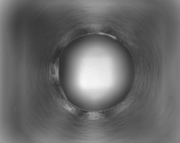 X0000069800528200605191107