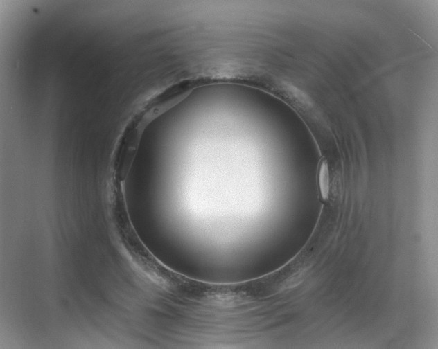 X0000069800540200605191107