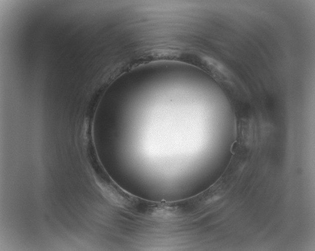 X0000069800550200605191107