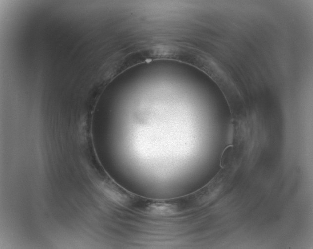 X0000069800557200605191107