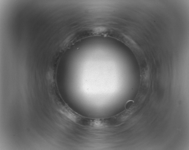 X0000069800565200605191107