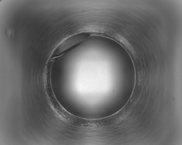 X0000069800580200605191107