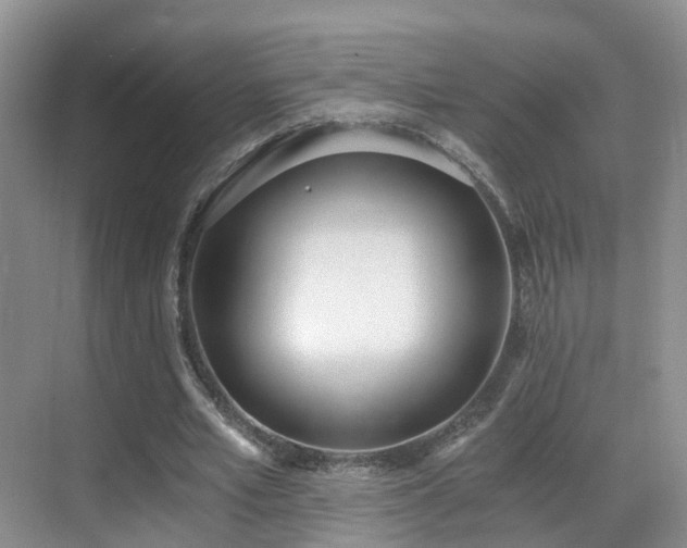 X0000069800581200605191107