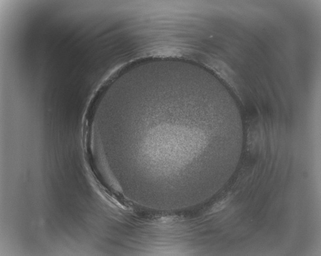 X0000069800584200605191107