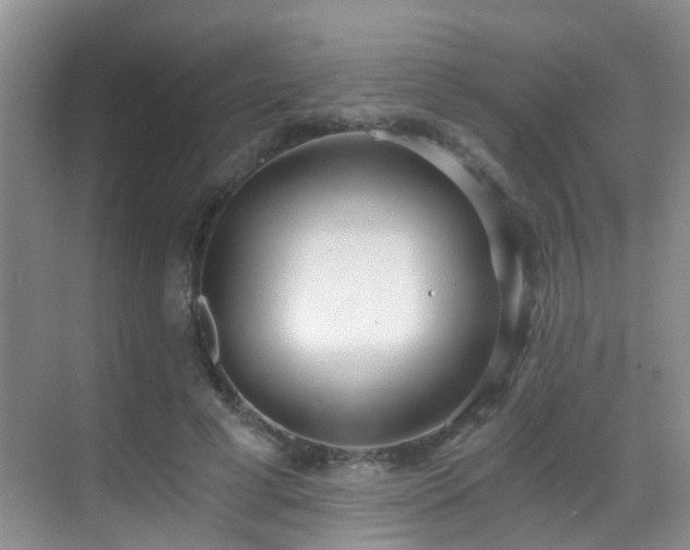 X0000069800593200605191106