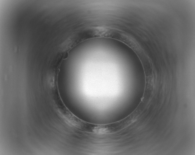 X0000069800602200605191106
