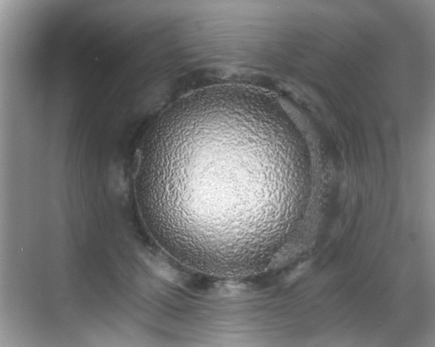X0000069800607200605191106