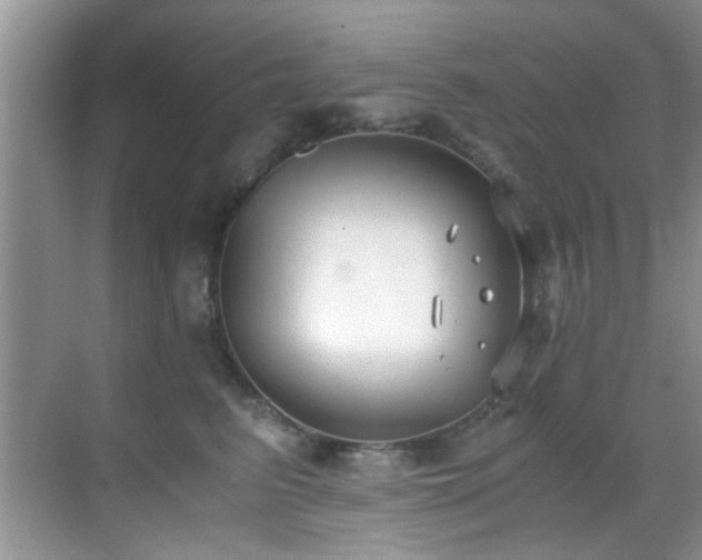 X0000069800615200605191106