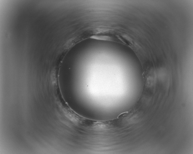 X0000069800620200605191106