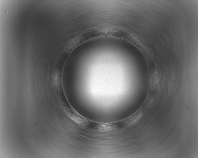 X0000069800623200605191106