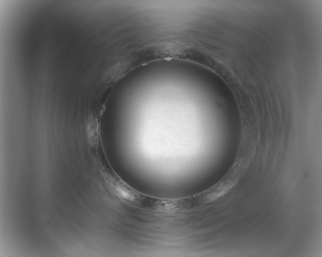 X0000069800624200605191106