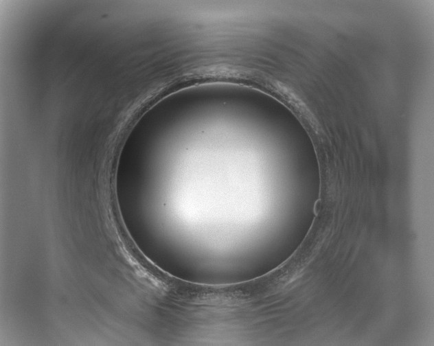 X0000069800625200605191105