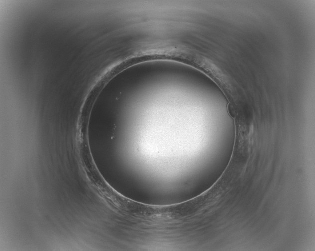 X0000069800628200605191105