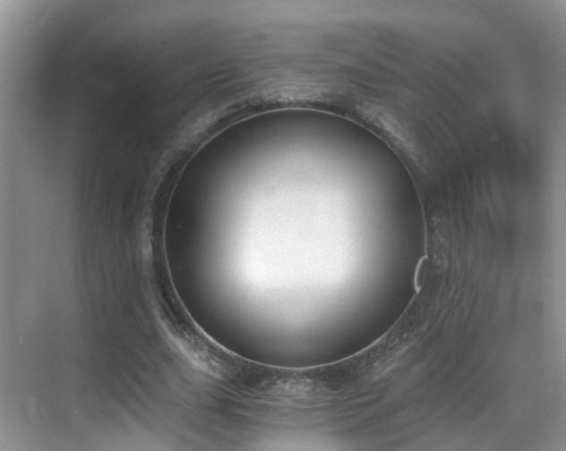 X0000069800631200605191105
