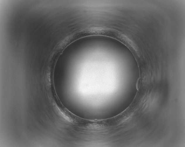 X0000069800633200605191105