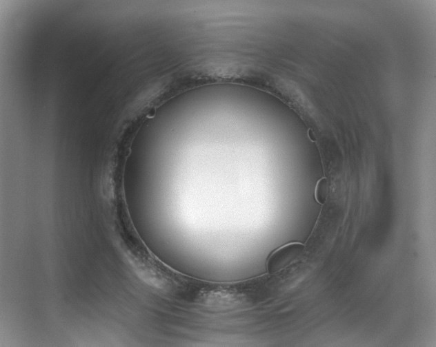 X0000069800635200605191105
