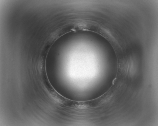 X0000069800645200605191105