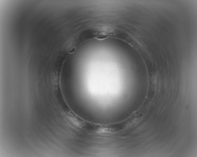 X0000069800657200605191106