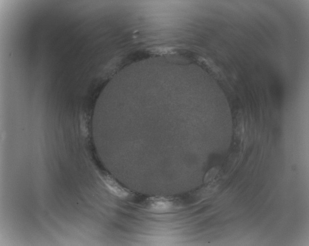X0000069800658200605191106