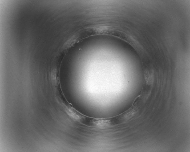 X0000069800670200605191106
