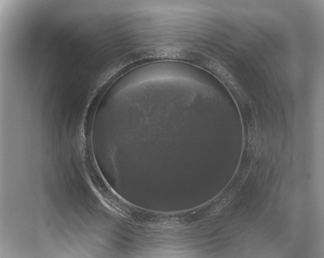 X0000069800674200605191105