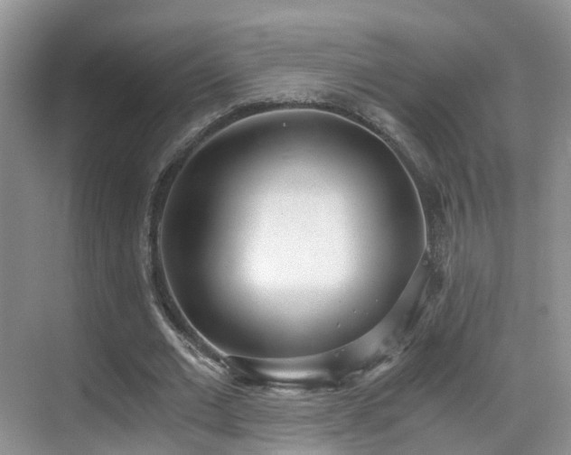 X0000069800677200605191105