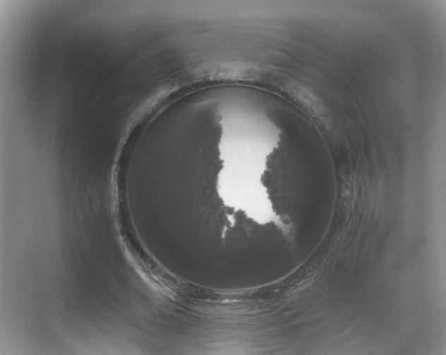 X0000069800678200605191105
