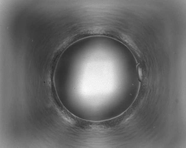X0000069800681200605191105