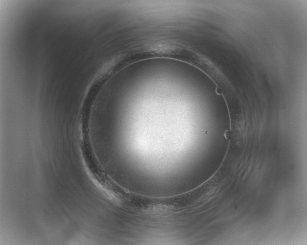 X0000069800734200605191104