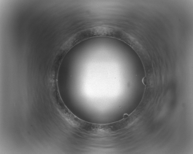 X0000069800737200605191104