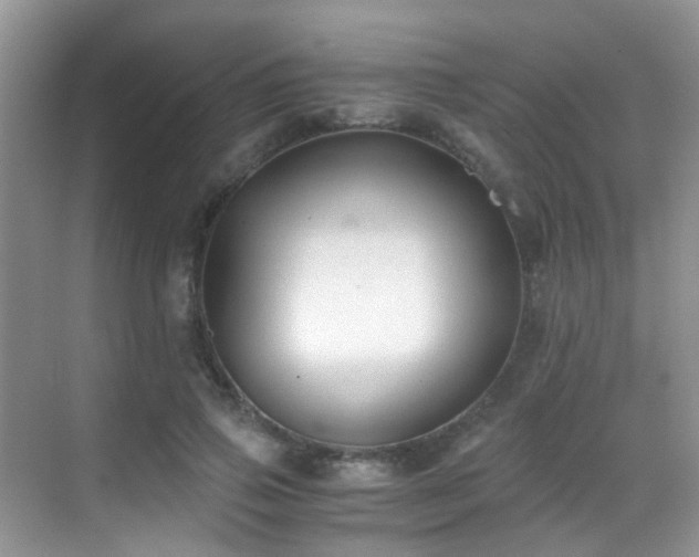 X0000069800741200605191104