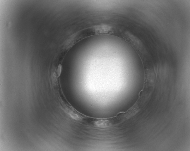 X0000069800761200605191104
