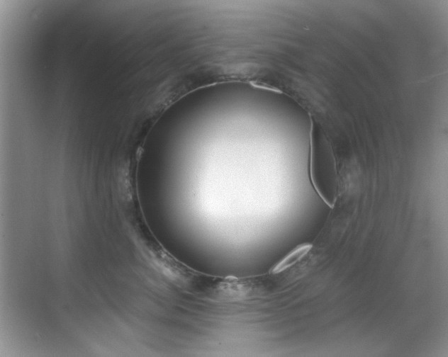 X0000069800764200605191104