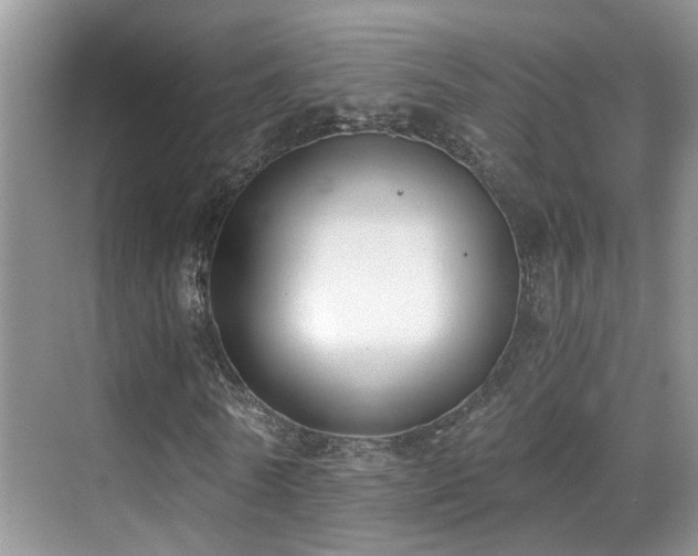 X0000069800770200605191103