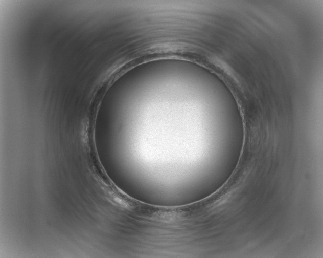 X0000069800778200605191103