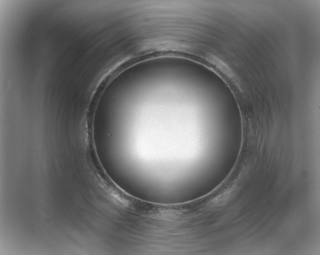 X0000069800782200605191103