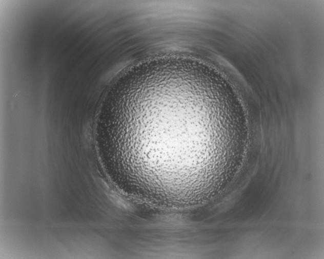 X0000069800785200605191103