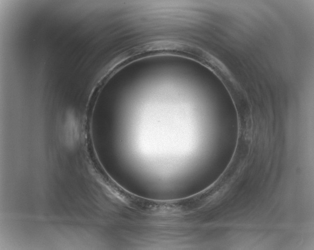 X0000069800786200605191103