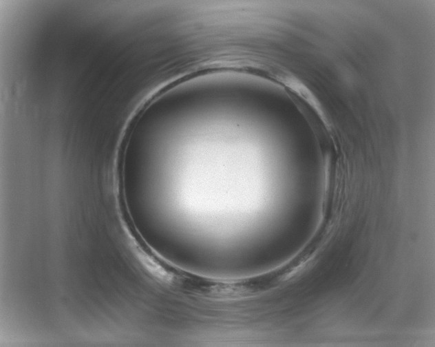 X0000069800795200605191103