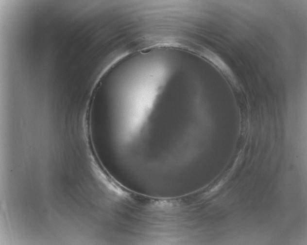 X0000069800806200605191103