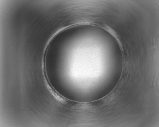 X0000069800811200605191103