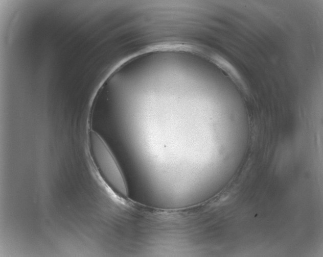 X0000069800852200605191102
