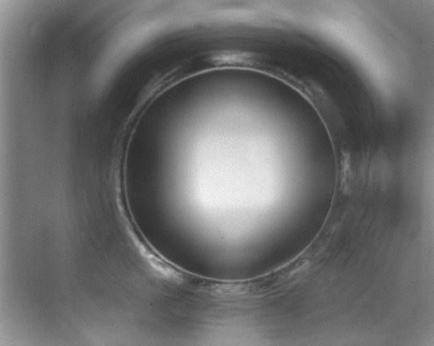X0000069800861200605191103
