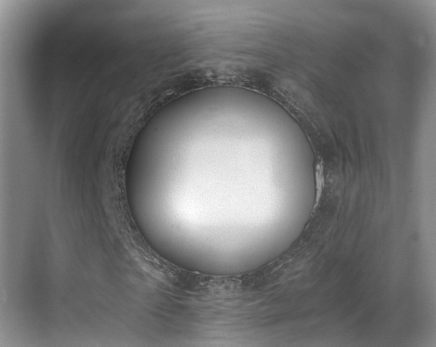 X0000069800865200605191102