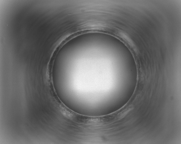 X0000069800883200605191101