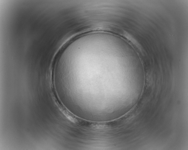 X0000069800886200605191101