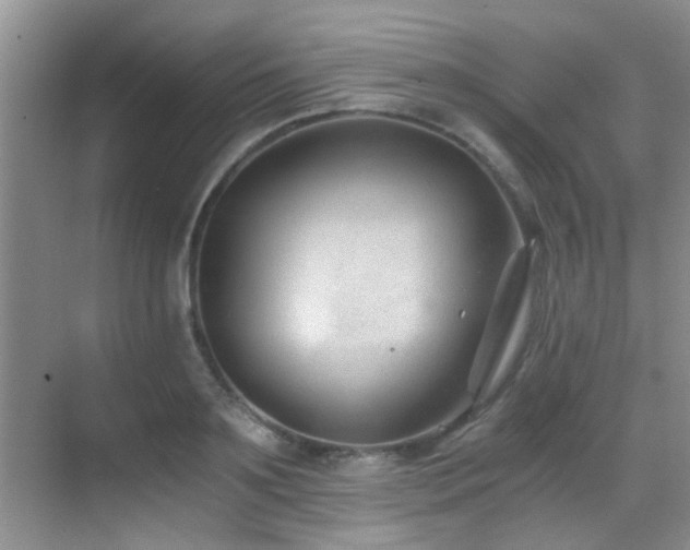 X0000069800891200605191101