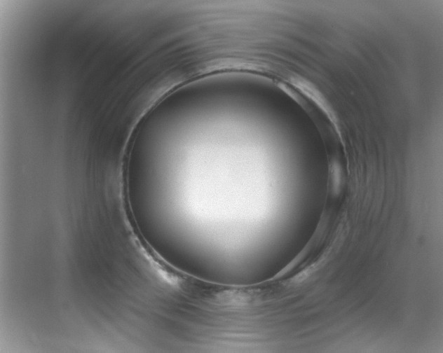 X0000069800898200605191101